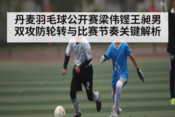 丹麦羽毛球公开赛梁伟铿王昶男双攻防轮转与比赛节奏关键解析
